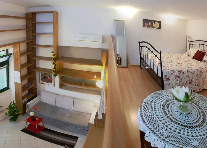 公寓 卡梅尼塔公寓 *